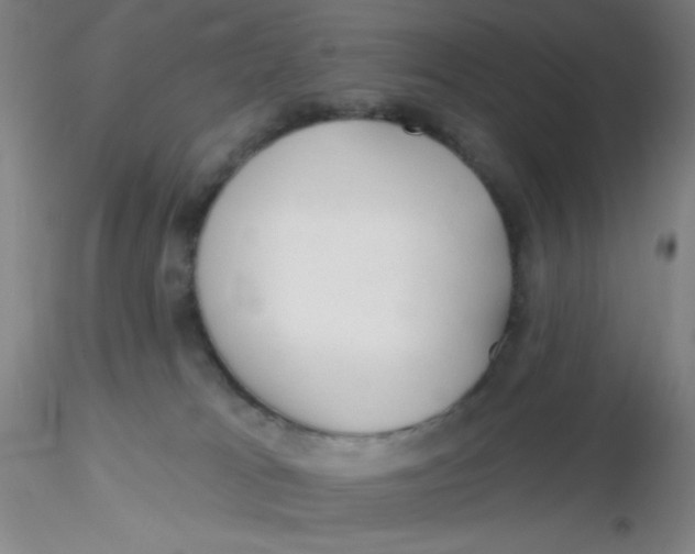 X0000116300037200912211911