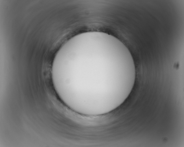 X0000116300038200912211911