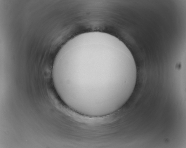 X0000116300039200912211911