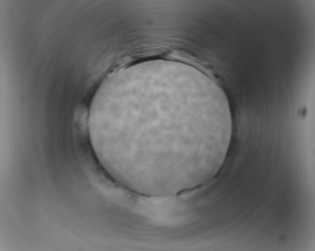 X0000116300041200912211911