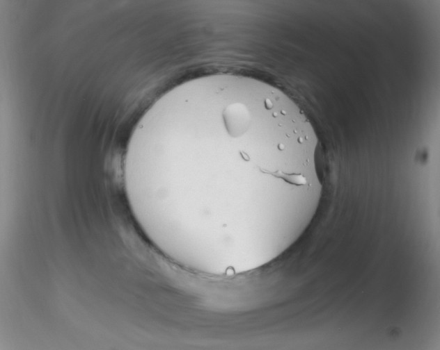 X0000116300042200912211910