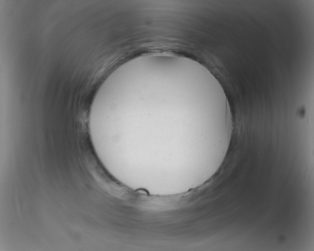 X0000116300045200912211910