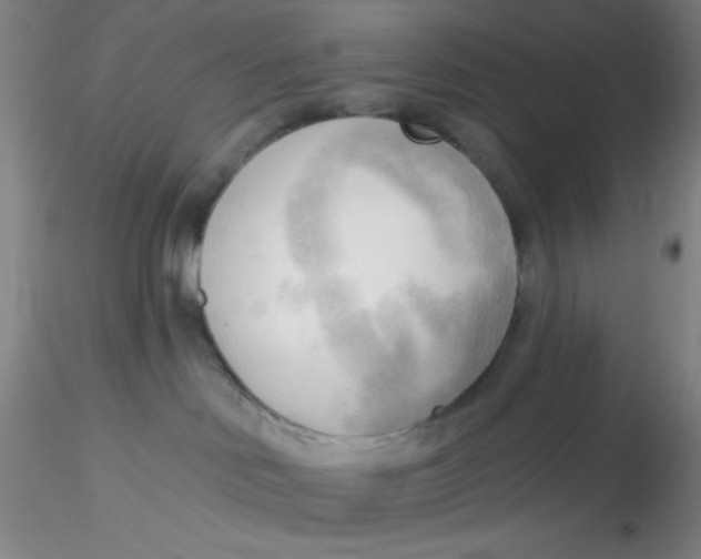 X0000116300046200912211910