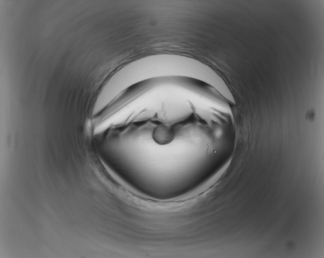 X0000116300047200912211910