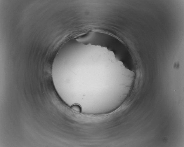 X0000116300048200912211910