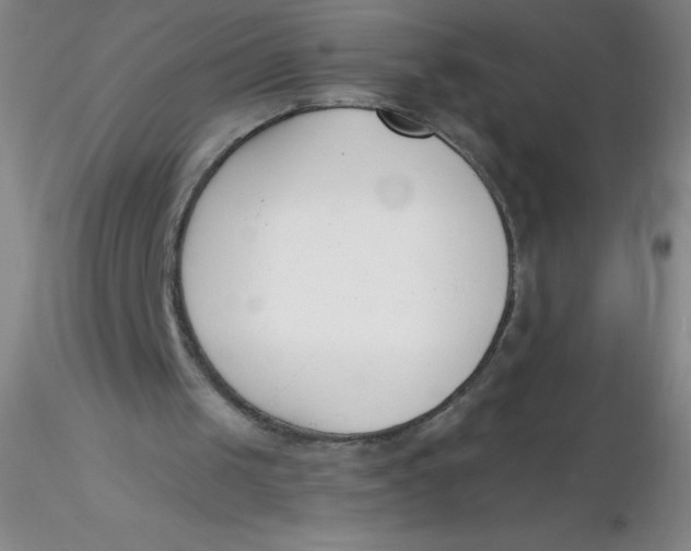 X0000116300049200912211910