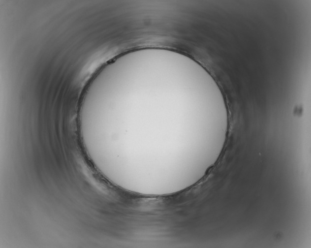 X0000116300050200912211910