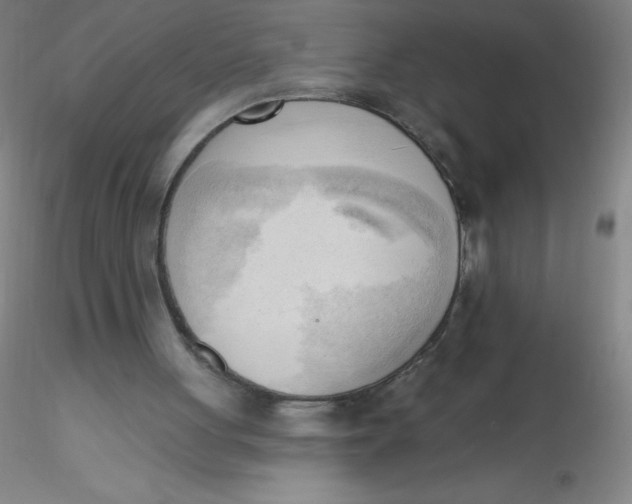 X0000116300051200912211910