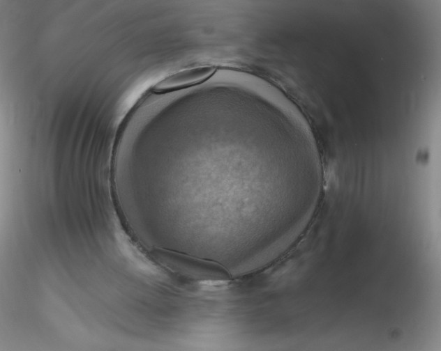 X0000116300052200912211910