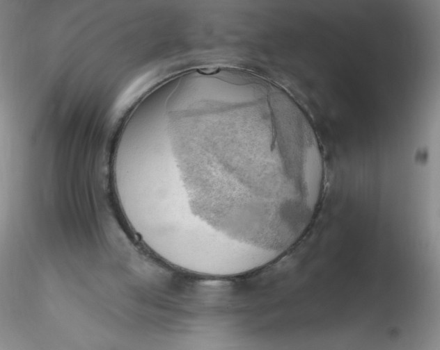 X0000116300053200912211910