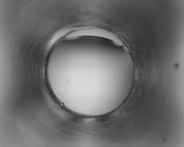 X0000116300054200912211910