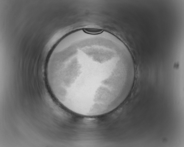 X0000116300055200912211910