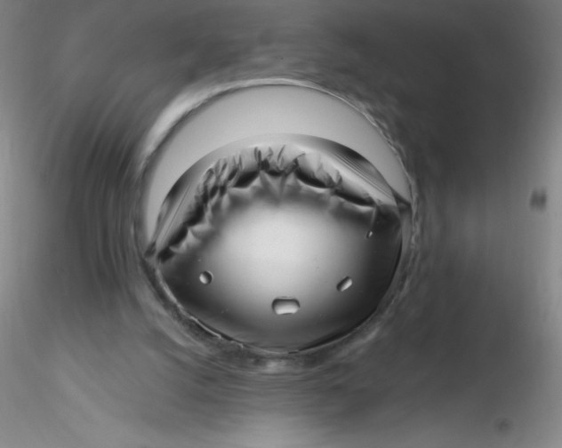 X0000116300056200912211910