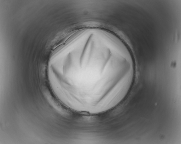 X0000116300057200912211910