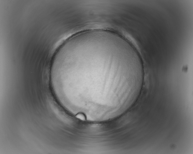 X0000116300059200912211910