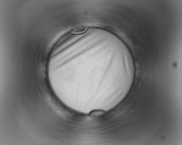 X0000116300060200912211910