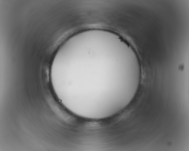 X0000116300061200912211910