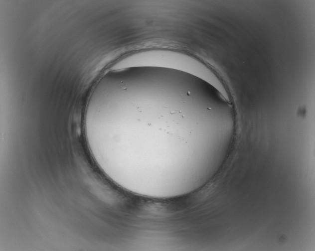 X0000116300062200912211910