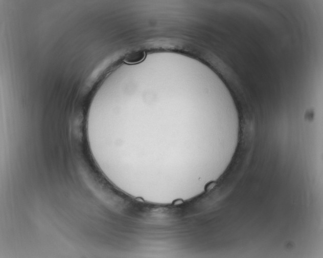 X0000116300064200912211910