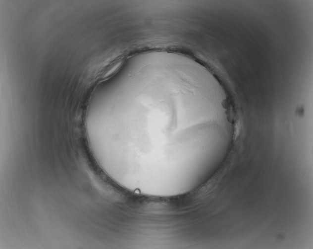 X0000116300066200912211910