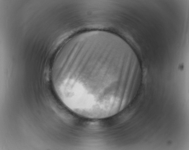 X0000116300068200912211910