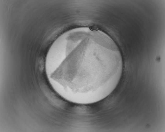 X0000116300069200912211910