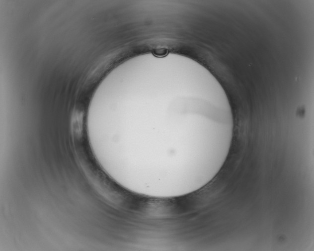 X0000116300070200912211910