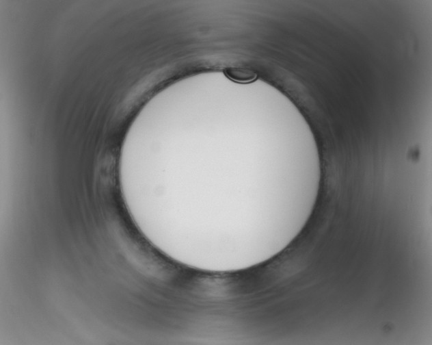 X0000116300071200912211910