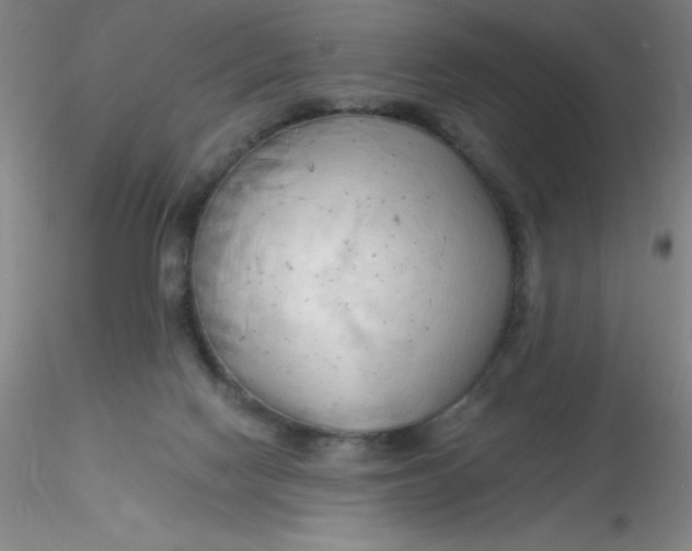 X0000116300074200912211910