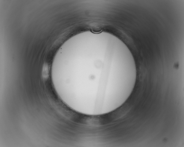 X0000116300075200912211910