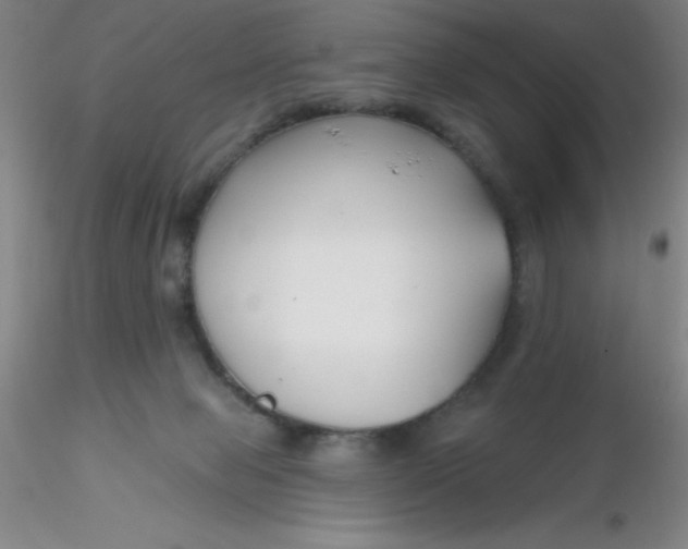 X0000116300077200912211910