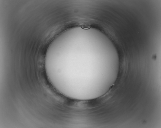 X0000116300078200912211910