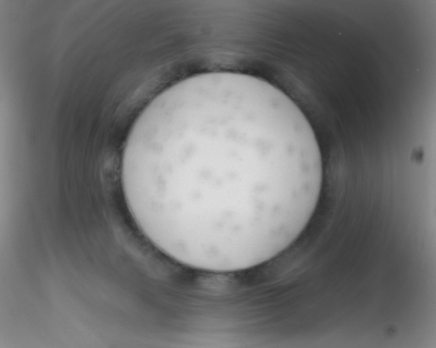 X0000116300079200912211910