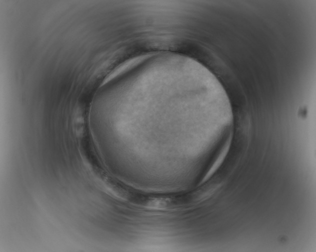 X0000116300080200912211910