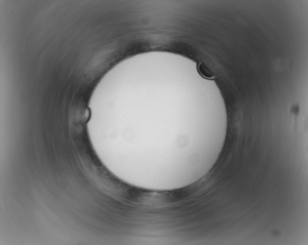 X0000116300082200912211910