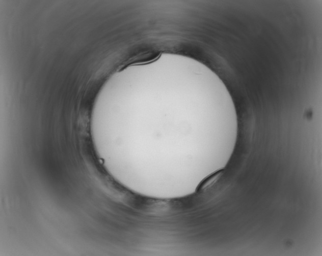 X0000116300083200912211910