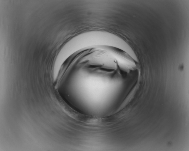 X0000116300084200912211910