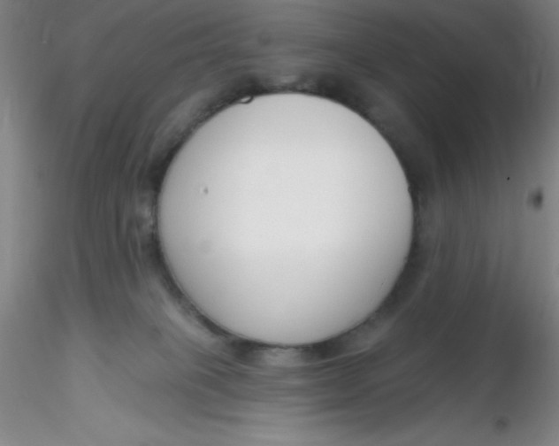 X0000116300085200912211910