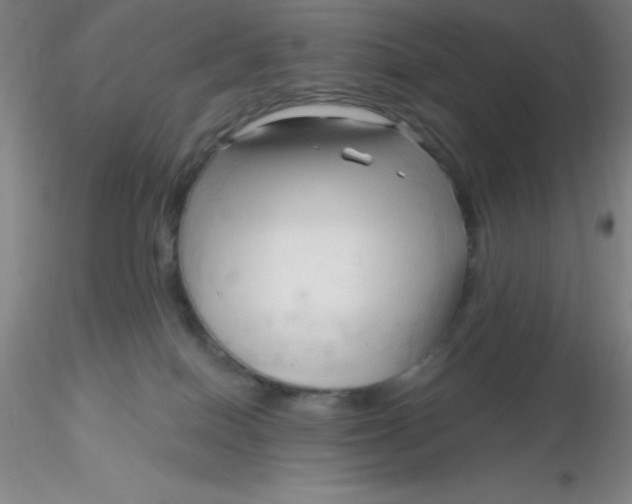 X0000116300086200912211910