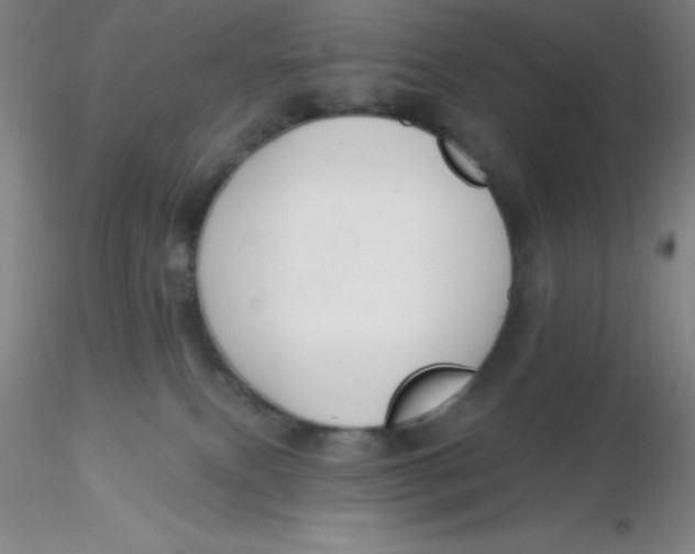 X0000116300087200912211910