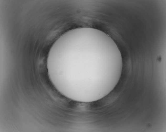 X0000116300088200912211910