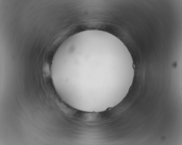 X0000116300089200912211910