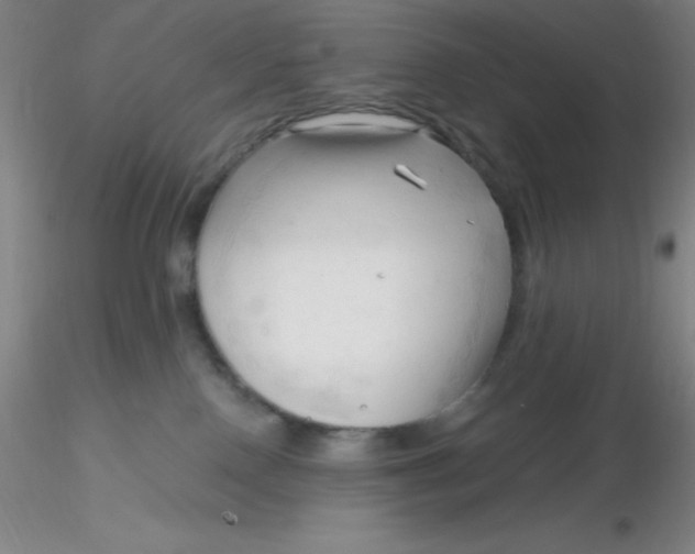 X0000116300090200912211910