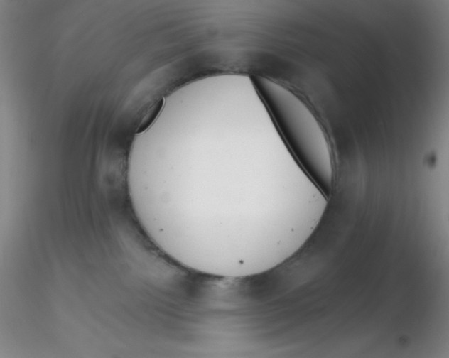 X0000116300092200912211910