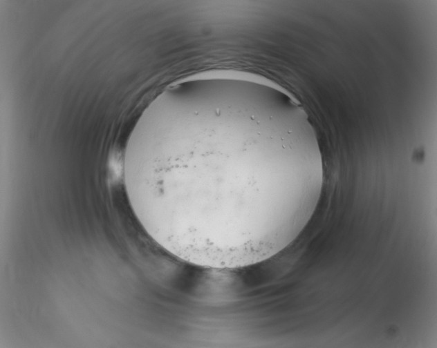 X0000116300095200912211910