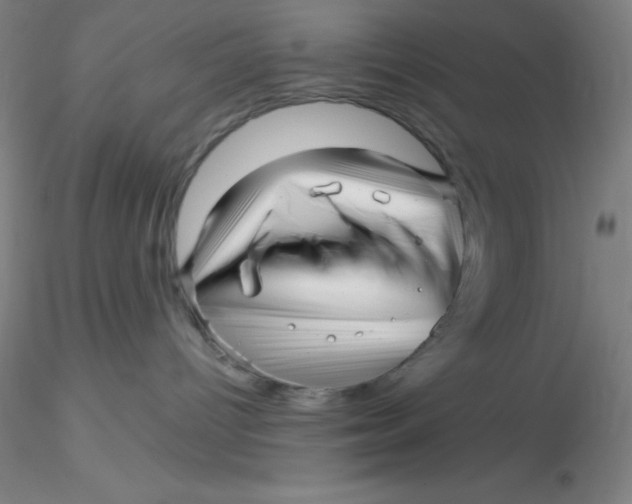 X0000116300096200912211910