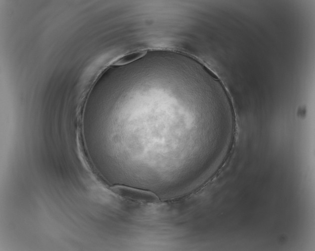 X0000116300097200912211910