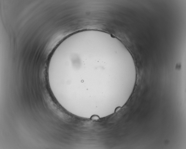 X0000116300098200912211910