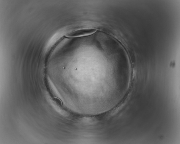 X0000116300101200912211910