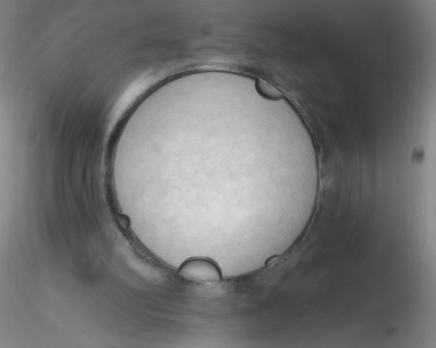 X0000116300102200912211910